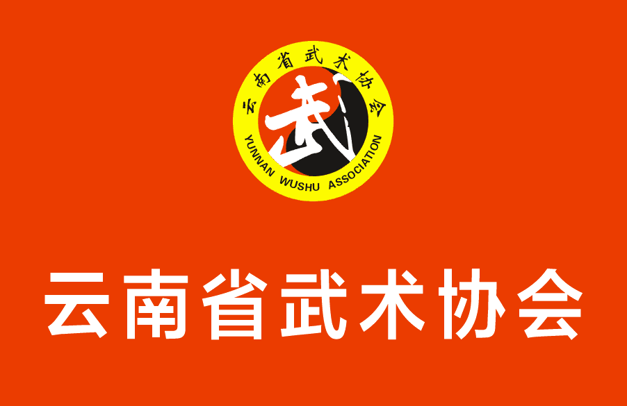 云南省武术协会建立功能型党支部简讯
